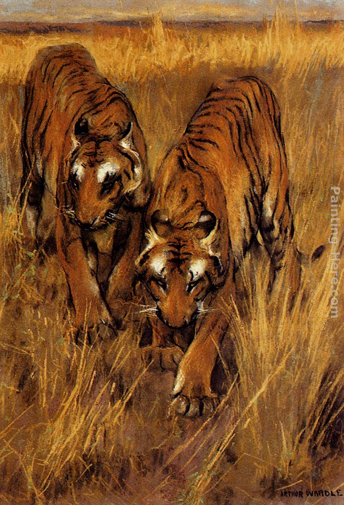 Tigers painting - Arthur Wardle Tigers art painting